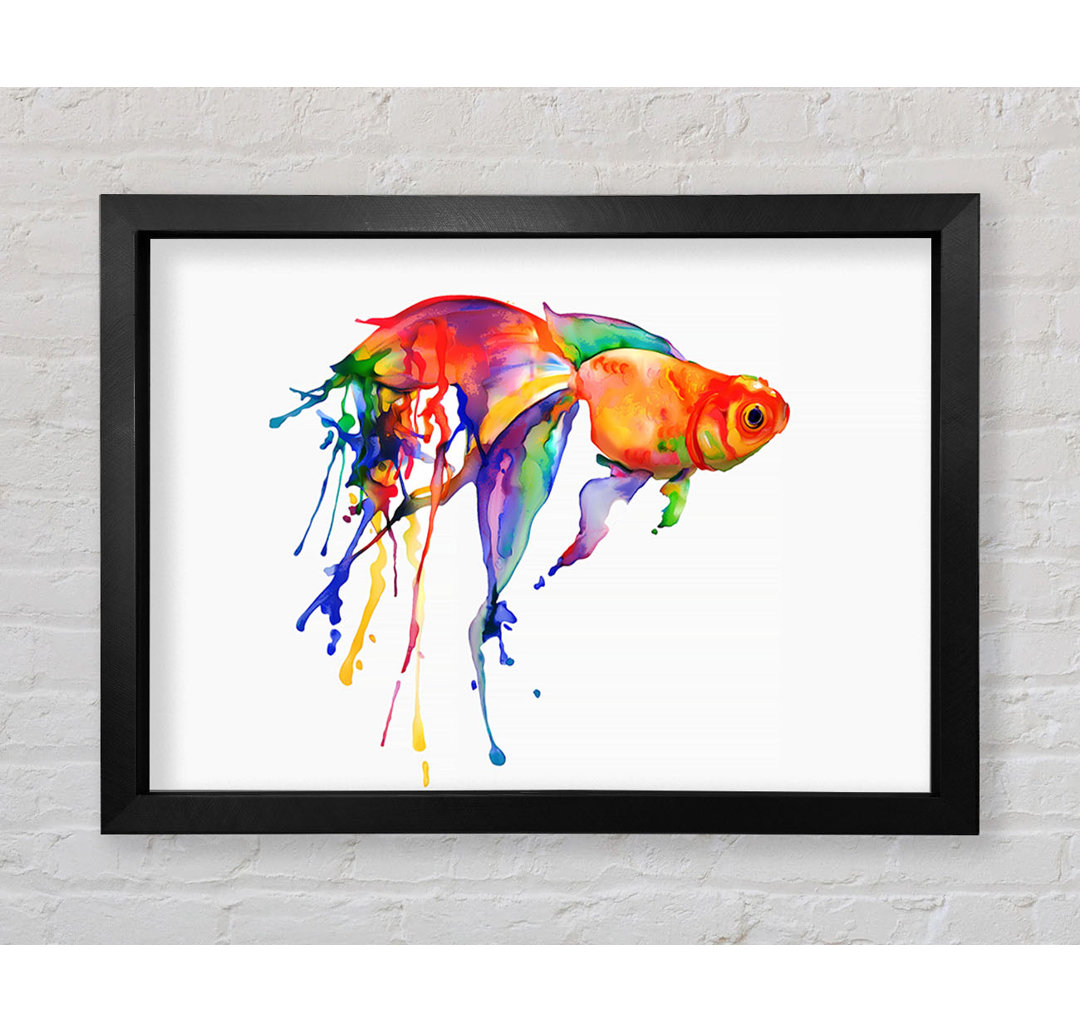 Regenbogen Goldfisch Gerahmter Druck Wandkunst