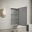 Embark Premium  Rectangular Medicine Cabinet-336643237