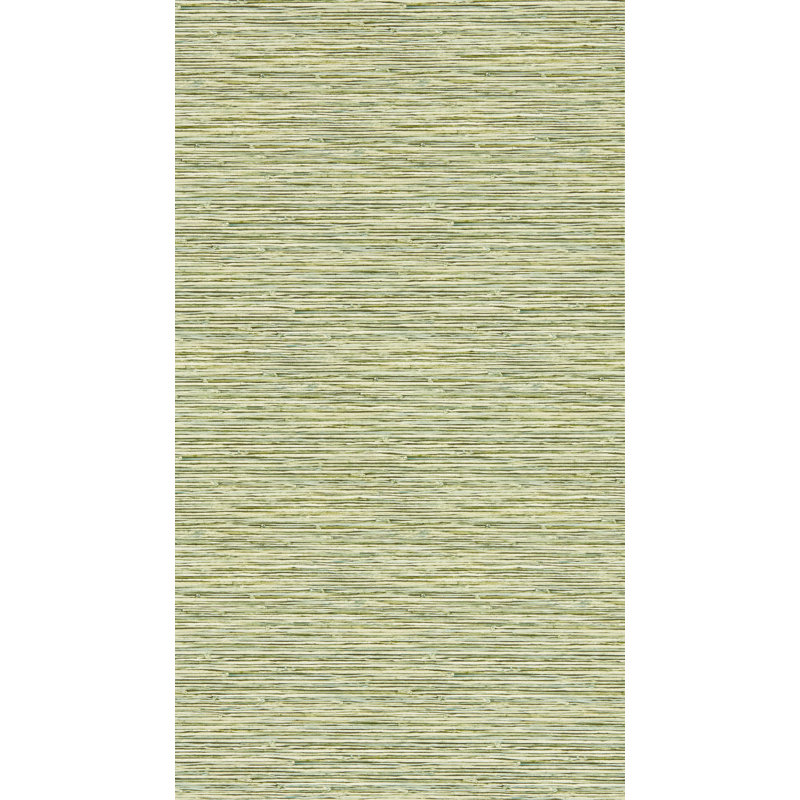 Jane X Clarke and Clarke Xan 10.05m x 52cm Distressed Wallpaper Roll, Palm
