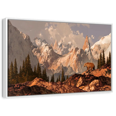 Rocky Mountain Bear