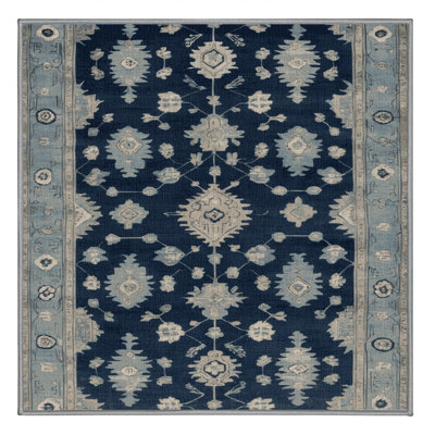 Machine Washable Overdyed Brown Area Rug