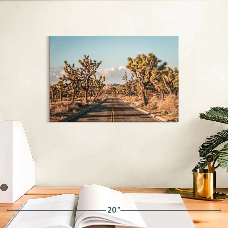 Mehar Cactus Road, 8" H x 12" W