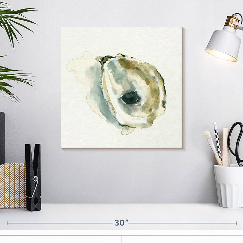 Brampt Old Salt Shell I