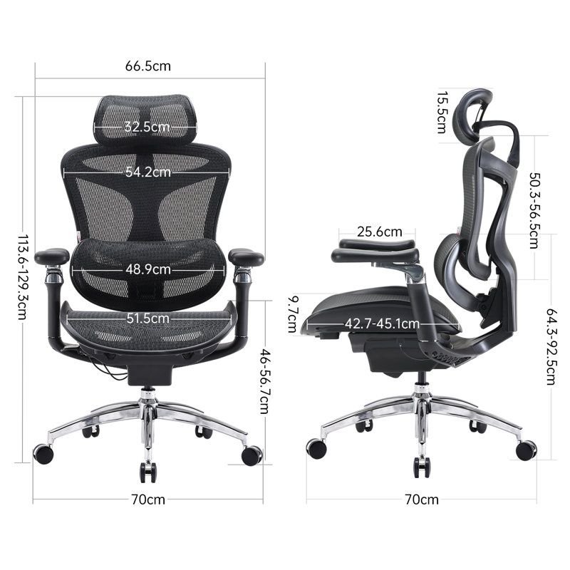 Chaise de bureau ergonomique Doro C300P, chaise de bureau grande et haute, chaise d'ordinateur avec accoudoirs 6D, Noir