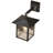 Rustic Lodge Solid Brass Armed Sconce
