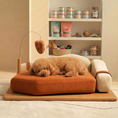 Iria Modern Cat & Small Dog Sofa Bed with Removable Cushion & Toy, Scratch-Resistant Upholstered Cushion, Pet Furniture