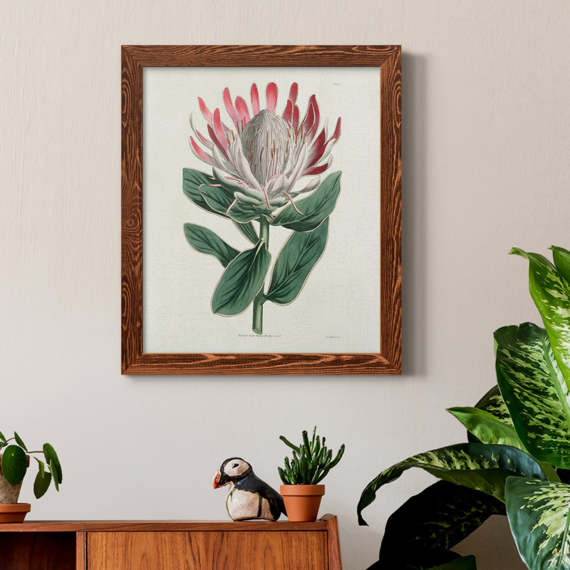 Protea N13 - Peinture sur toile encadrée, H 20 po x l 17 po x P 1,5 po, Érable