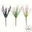 Vaporisateur artificiel Haworthia