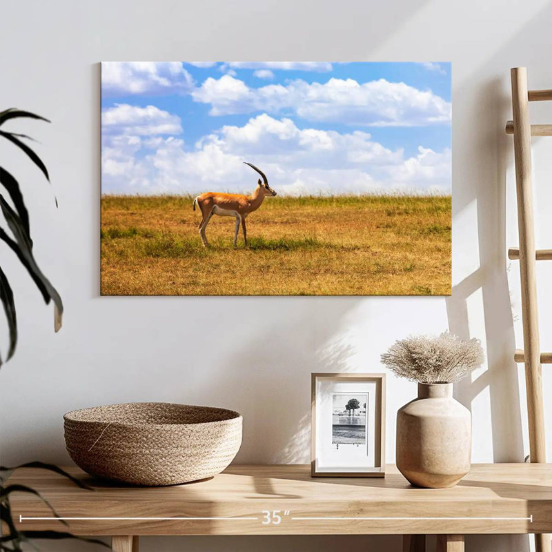 Gazelle Brampt dans la savane, H 16 po x l 24 po
