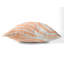 Coussin Zebra-107835420-107835430