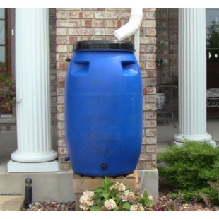 Baril d'eau de pluie 55 gallons