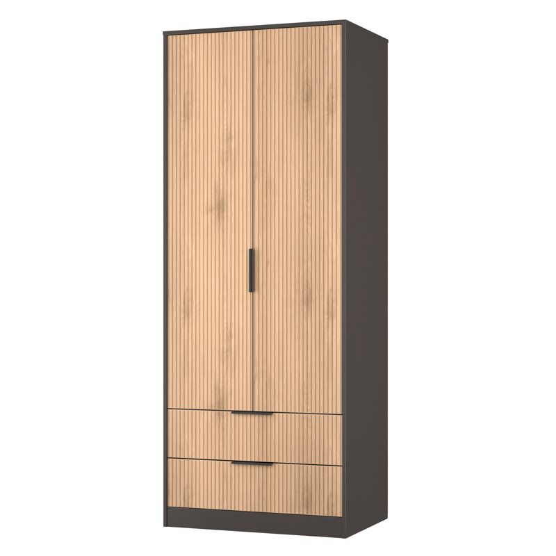 Taeyah 2 Door 2 Drawer Wardrobe