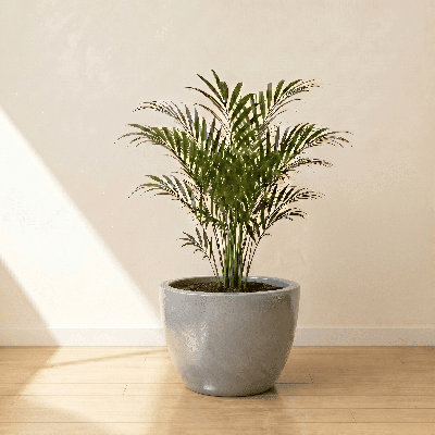 ECOBO Eco-Friendly Round Pot Planter, VicenzaIndoor/Outdoor use,Four Season Use