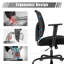 Burgeo Mesh Task Chair