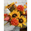 Tournesol mélangé-1858042672