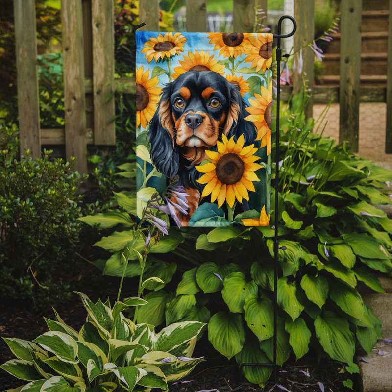 Lévrier irlandais dans le drapeau du jardin de tournesols, Épagneul cavalier noir