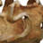 Uttermost Arbor Crest Indoor-Outdoor Teak Bowl