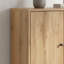 Armoire à chaussures moderne et minimaliste, brun et noir