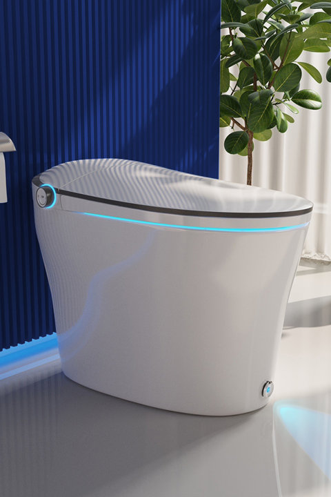 Magasinez les toilettes intelligentes