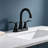 Topcraft Stainless Steel Two Handle Bathroom Faucet With Pop-Up Drainer