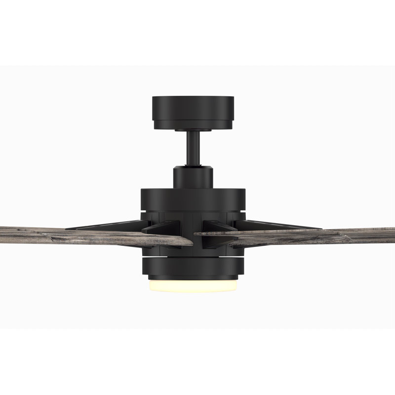 Odyn Indoor/Outdoor Custom Ceiling Fan DC Motor- Black with LED Light Kit, Black