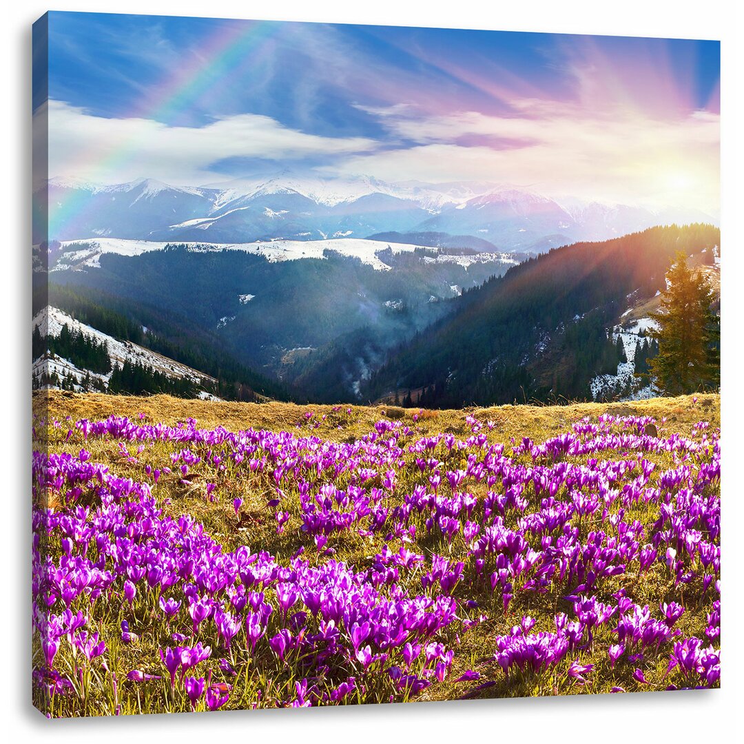 Leinwandbild Schneebedeckte Berglandschaft mit Regenbogen und blühenden Krokussen