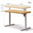 Caritta 48" Electric Height Adjustable Standing Desk with drawers-1327975766