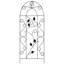 Aldora 100cm H x 40cm W Iron Arched Trellis