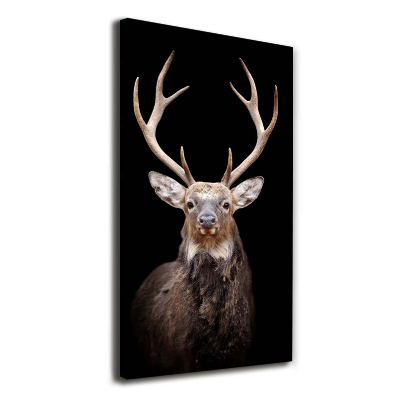 Deer - Wrapped Canvas Print