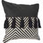 Ensemble de 2 coussins en coton Tassels