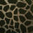 Lenno Animal Print Roll