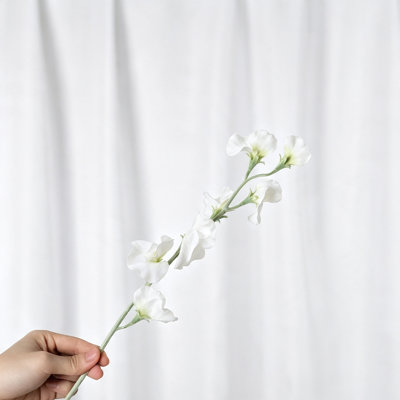 Audet Sweet Pea Stems