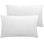Housse de coussin rectangulaire en velours-1599623766