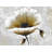 Modern Beige Flower Print On Canvas