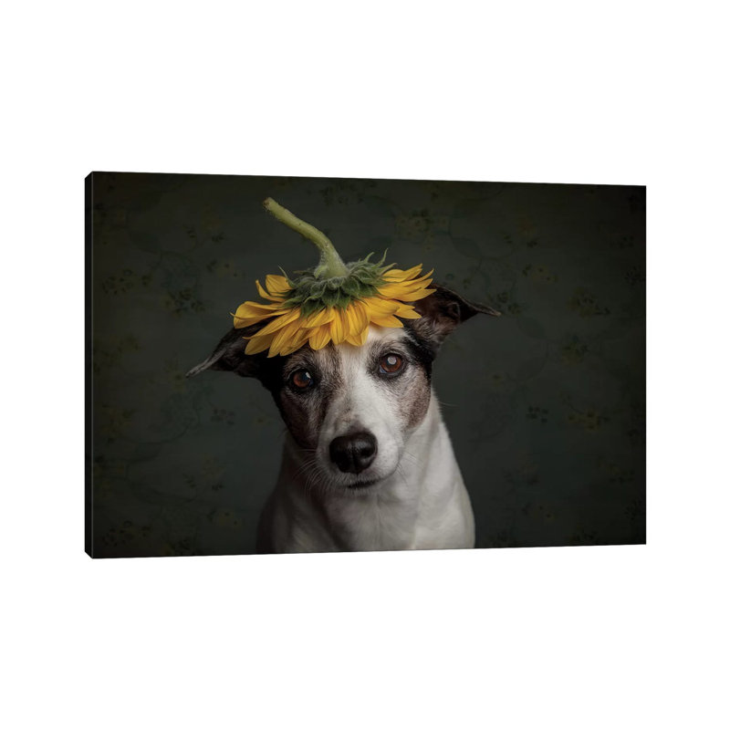Does She Realize She Looks Like A Sunflower.... by Heike Willers - Wrapped Canvas Print, 20.32 cm H x 30.48 cm W