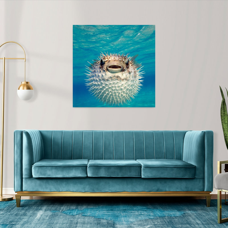 Gros plan sur un poisson-globe, art contemporain des Bahamas, H 36 po x l 36 po