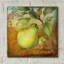  «From The Grove Pear» par Art Licensing Studio, art mural en verre acrylique-1493323895