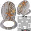 Soft Close Elongated Standard Toilet Seat
