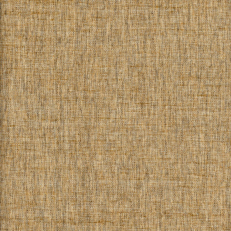 Tissu Cruz, Chameau