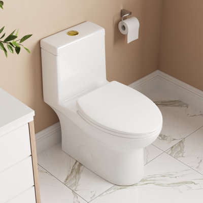 Ally Dual-Flush Elongated One-Piece Toilet with Glazed Surface Modern Toilet with Comfort Seat Height  (Seat Included)