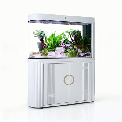 Bullet-Shaped Hot-Bent Clear Glass Aquarium Tank
