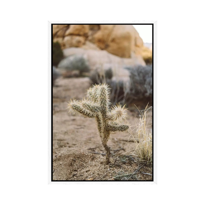 Joshua Tree National Park XVI 1 Piece Wall Art on Canvas, 152.4cm H x 101.6cm W x 3.81cm D, White Framed