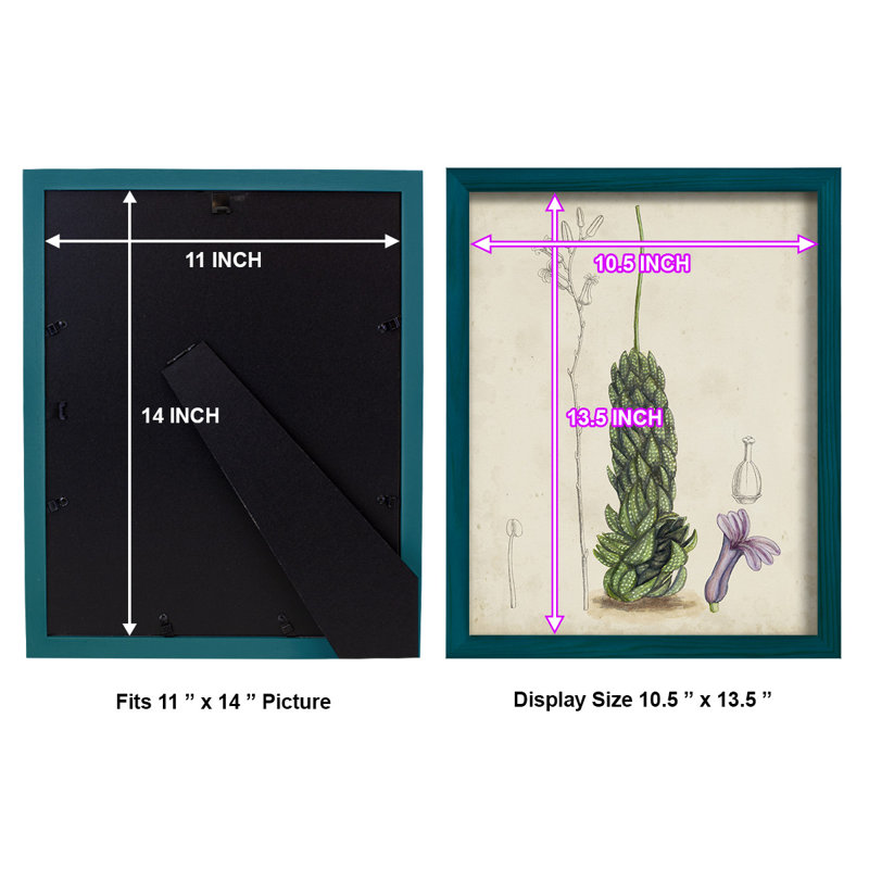 Antique Cactus IV, reproduction encadrée sur papier, H 15 po x l 12 po x P 1 po, Bleu