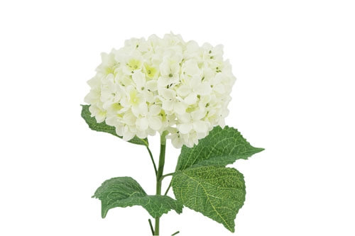 35" Light Green Artificial Hydrangea Stems, White