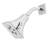 Rainier Adjustable Shower Head-130536607