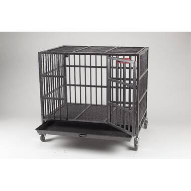  ProSelect Empire Cages - Medium : Pet Supplies