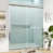 Clear/Chrome selected
