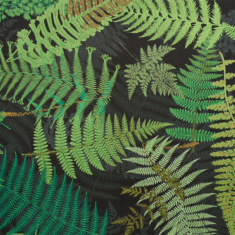 Schumacher x Clements Ribeiro Fernarium Fabric, Green/Black