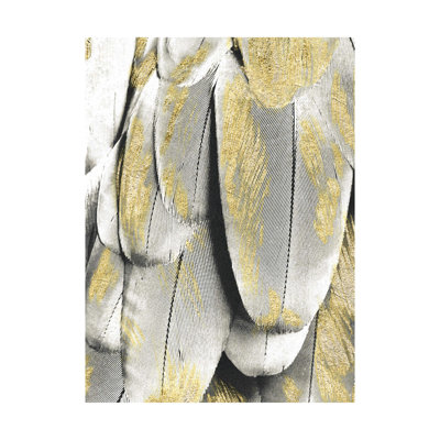Rétro plumes dorées et noires rétro