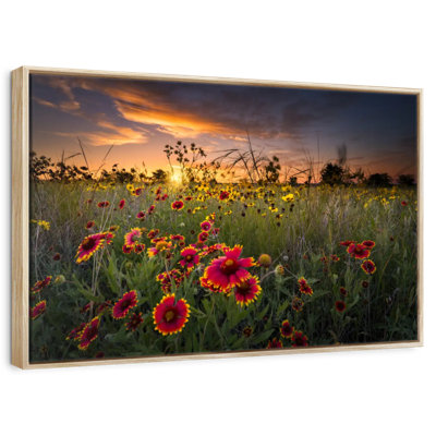 Dawn At Flower Field